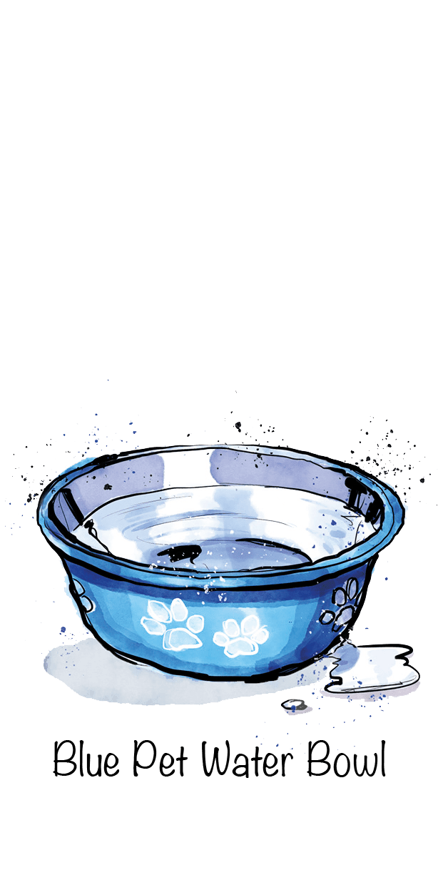 Blue Pet Water Bowl