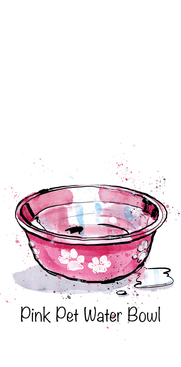 Pink Pet Water Bowl
