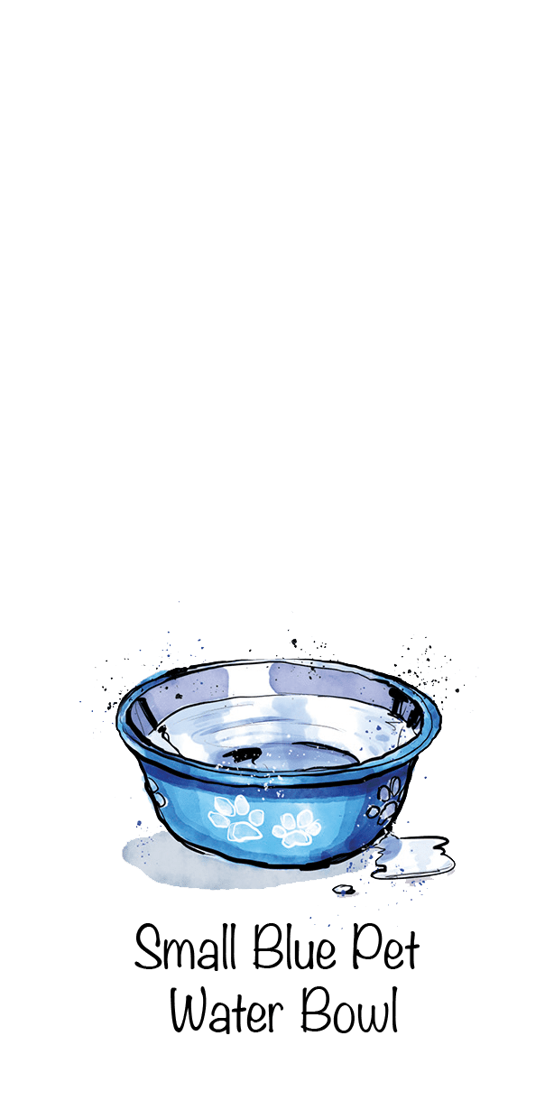 Small Blue Pet Water Bowl