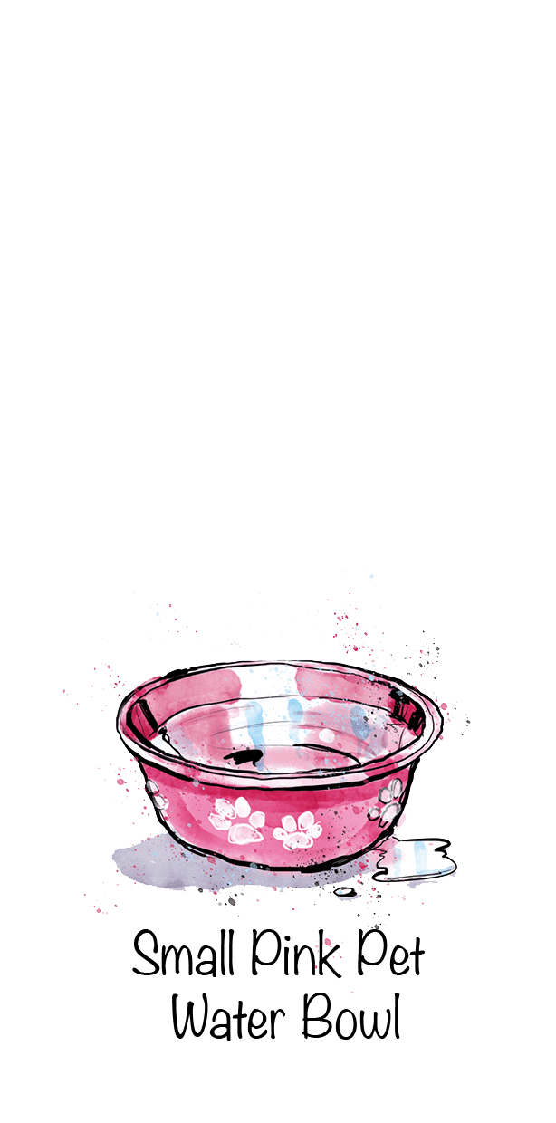 Small Pink Pet Water Bowl